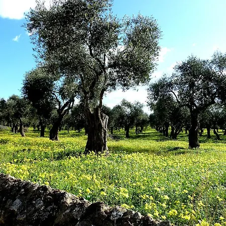 아파트 Borgo Degli Ulivi *