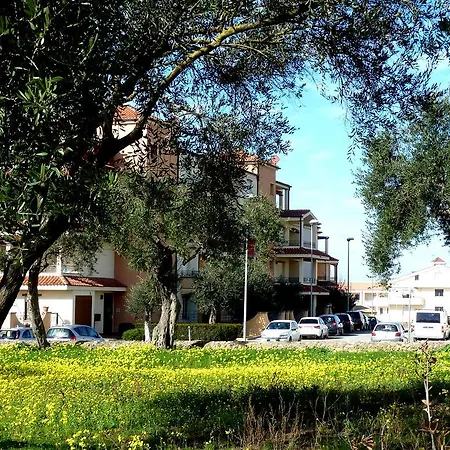 아파트 Borgo Degli Ulivi